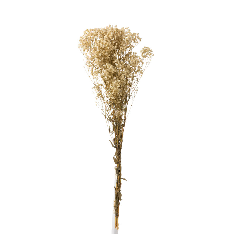 Gypsophila Arrangement, Ecru
