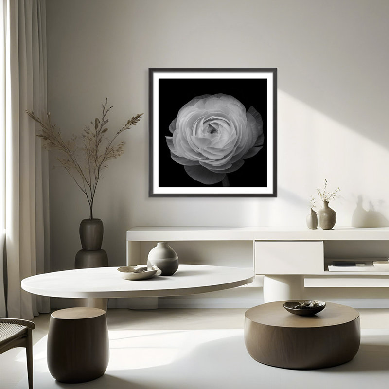 Ranunculus Print, 24" H x 24" W 