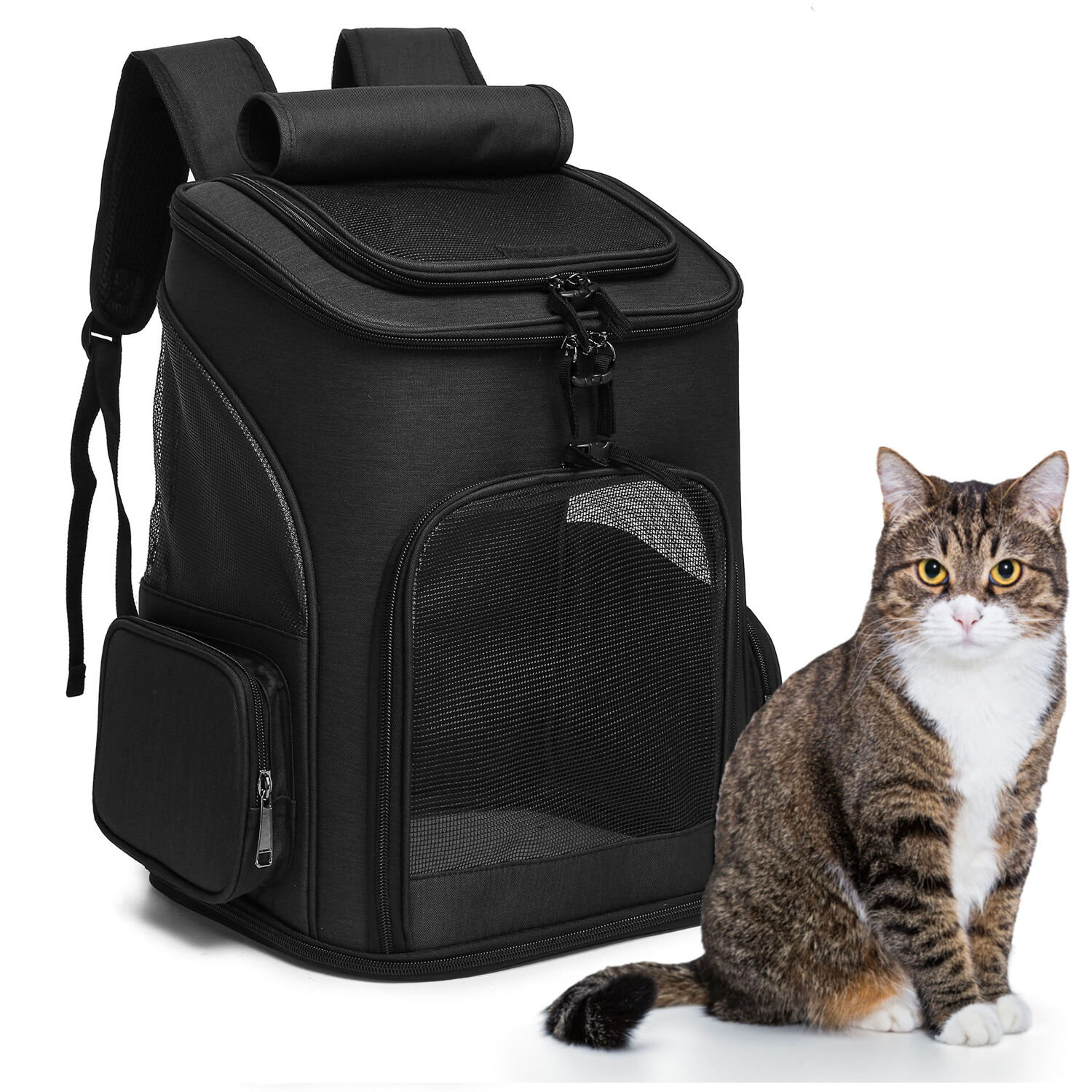 Amazon.com: Pet Carrier, Dog Carrier, Cat Carrier for Small Medium Pet,  Puppy Carrier Bag for Pets Up to 16 Lbs, Travel Kitty Carrier Soft with  Sturdy,Soft Sided,Foldable,Well-Ventilated,Cozy, Collapsible : Everything  Else