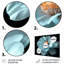 Natures blanches et noires, souci, art mural, salon-1108448953-1108448930