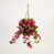Rose est en rupture de stock