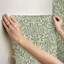 Papier peint Acorn Forest-124425793