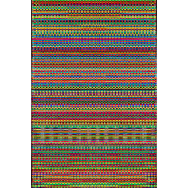 Striped Multi Colored Indoor/Outdoor Area Rug - Reversible, UV Resistant, 100% Recycled Material, Rectangle 4' x 6'