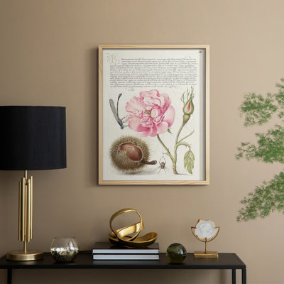 Reproduction encadrée de Hoefnagel «Tropical Specples II» - bois massif