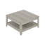 Weddel Basilico Coffee Table with Storage-2057449331