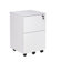 Waldschmidt 2 -Drawer Storage Cabinet