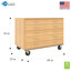 Armoire mobile à 5 compartiments avec roulettes-1878496575-1878496519
