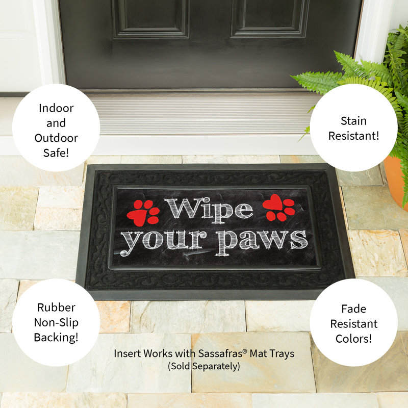 Tapis d'extérieur antidérapant Insasses Wipe Your Paws Sassafras 22 po x 10 po