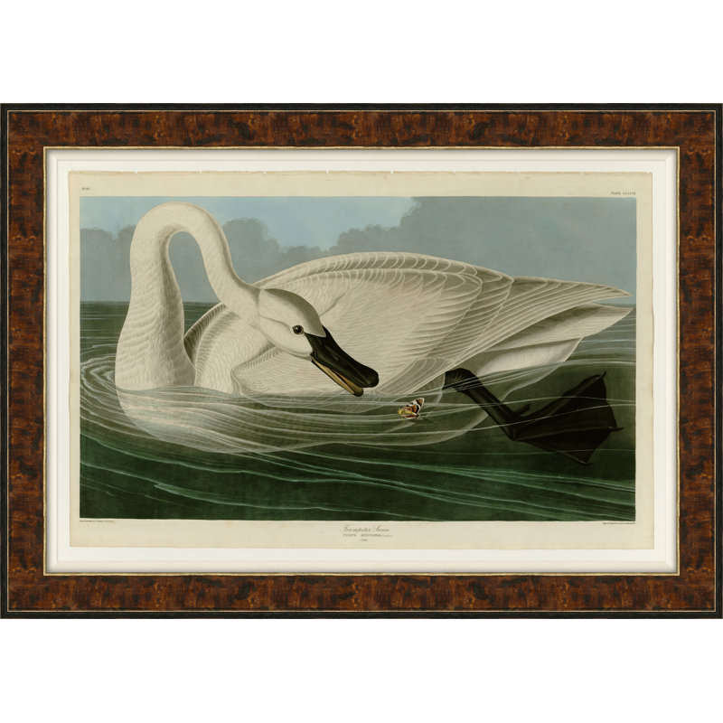 Cygne - peinture sur toile encadrée, H 26,75 po x l 37,5 po x P 0,63 po