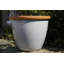 Sundhya Pot Planter-1759075834-1759075832
