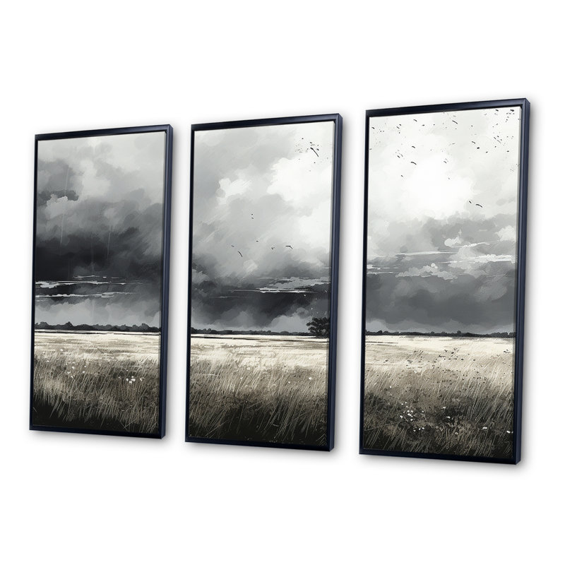 «Gray Storm Meadow Charm - Storms», ensemble d'art mural sur toile, Cadre flottant noir, H 32 po x l 48 po x P 1 po