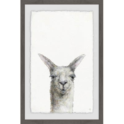 Framed Art