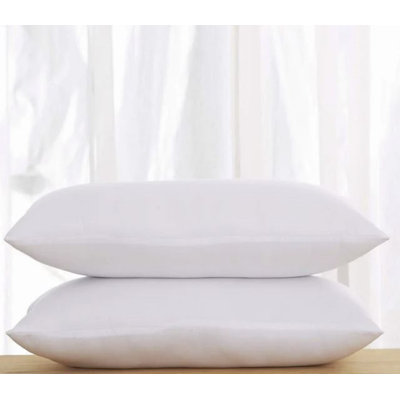 Balough Outdoor Rectangular Pillow Insert