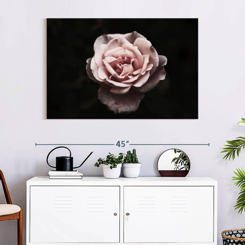 Harnek Pink Carnation Rose