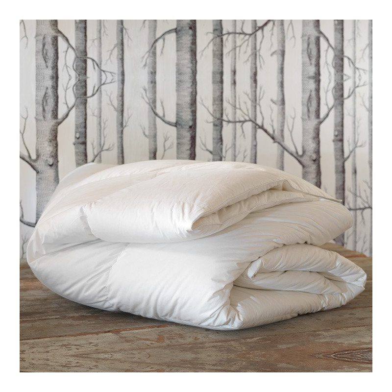 Édredon en duvet Celesta Luxe - Léger, Grand