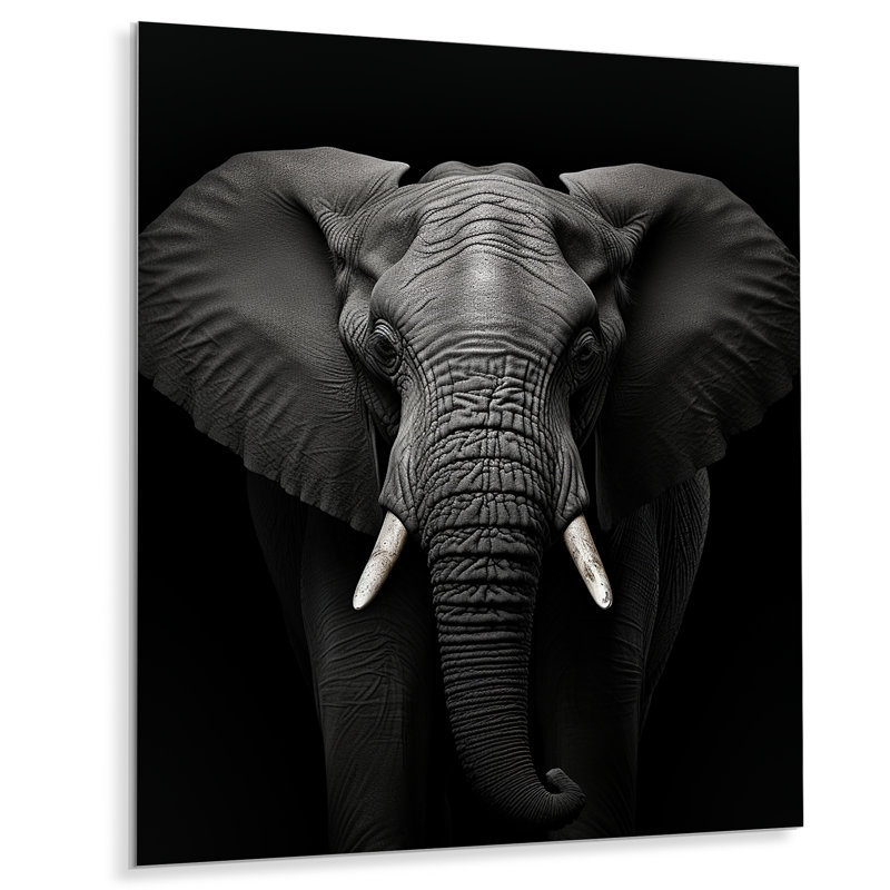 Éléphant noir et blanc photo II - animaux éléphant, reproduction d'art en métal, H 32 po x l 16 po x P 1 po