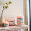 Pink Sands Scented Jar Candle