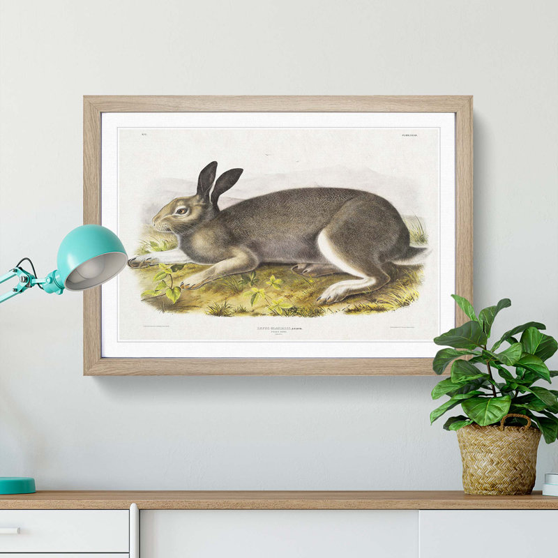 Polar Hare by J.W. Audubon - Picture Frame Painting Print, 48cm H x 65cm W x 2cm D, Oak Framed