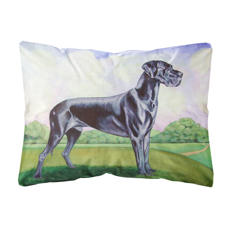 Coussin décoratif intérieur/extérieur magnifique