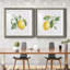 Lemon Fresh I - ensemble de 2 cadres photo-1747626560-1747626563