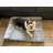 Microplush Orthopedic Bolstered Sofa Pet Bed- L Shape