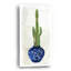 «Cacti In Blue Pot 1» par Stellar Design Studio-1839492456