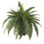 23'' Faux Fern Plant in Wicker/Rattan Pot