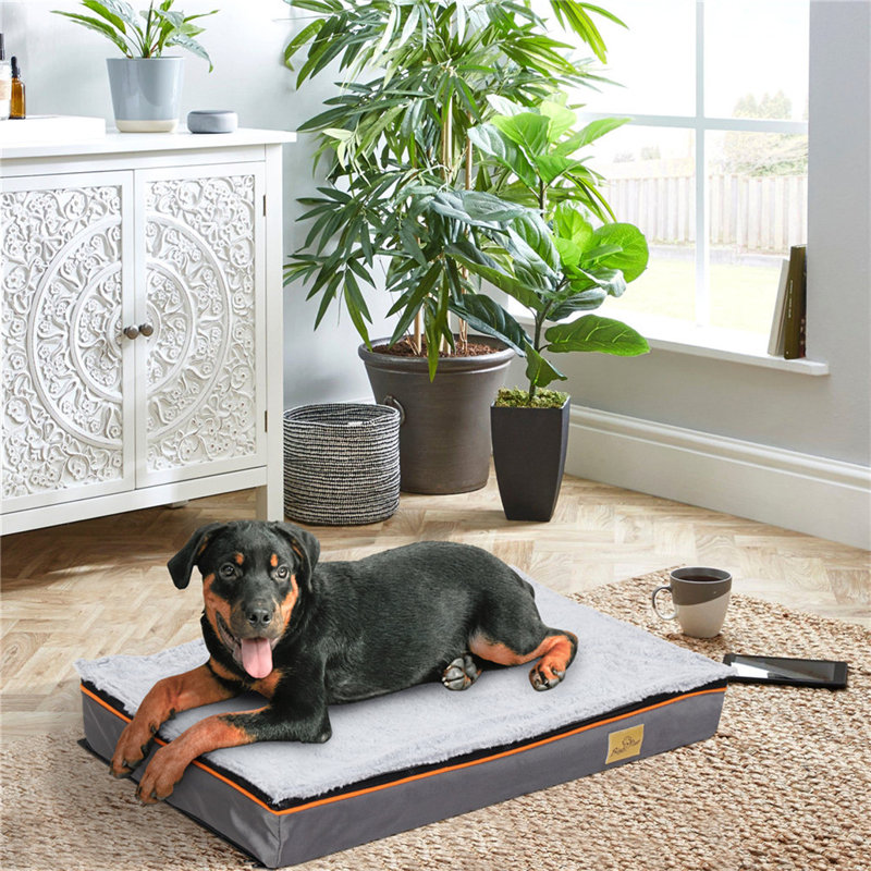 Orthopedic Dog Bed, 8cm H X 50cm W X 80cm D