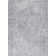 Janousek Oriental Indoor Rug