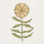 Schumacher x Marian Mcevoy Pretty Petals Fabric-1664445458