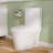 Ace 1.6 GPF Dual-Flush Toilet Modern Elongated One-Piece Toilet for Floor Mounted Glazed Surface (Seat Included)-88234900-111041676