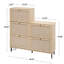 Armoire de rangement à chaussures moderne en rotin pour portes d'entrée 5 portes