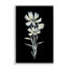 Hautes tiges florales, art giclée encadrée par Leeza Hernandez-107873766-111731404