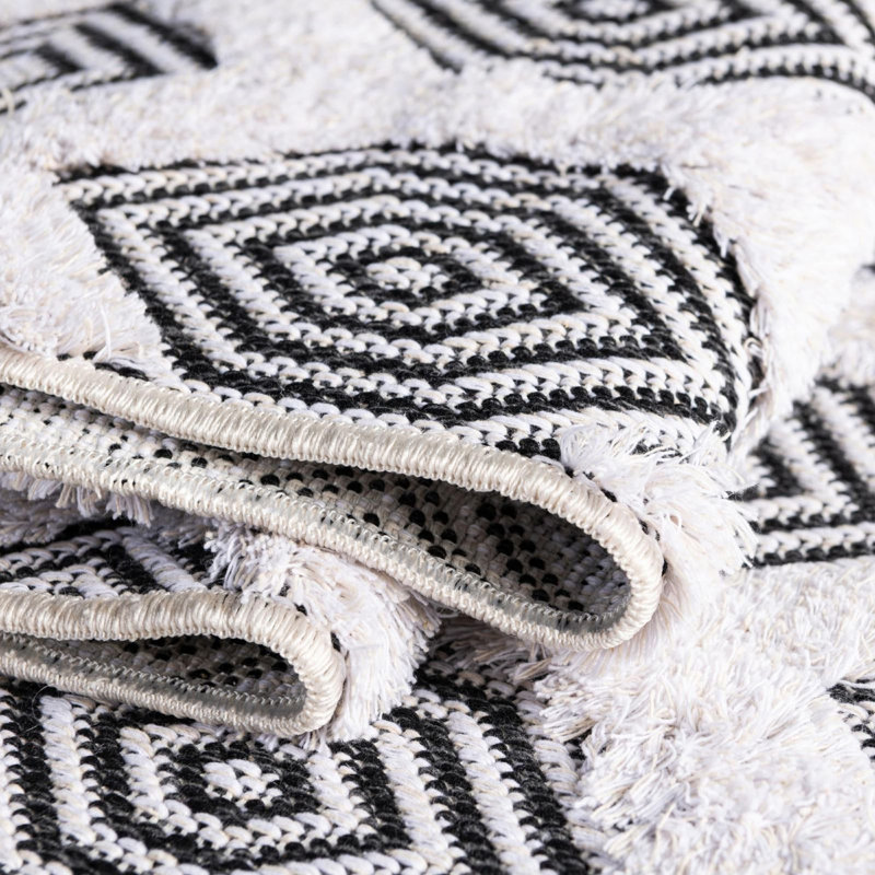 Mishti Cotton Moroccan Indoor Rug, Rectangle 2'3" x 3'