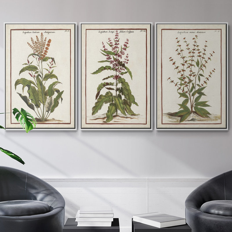 «Munting Botanicals I», ensemble de 3 reproductions encadrées sur toile, Blanc, H 36 po x l 72 po