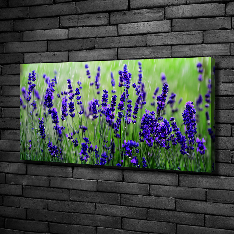 Lavender - Wrapped Canvas Print