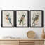 Tree Toppers I - Ensemble de 3 peintures sur toile encadrées-1031297090-1031297094