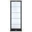 Lisa 23.75 " W Glass Curio Cabinet