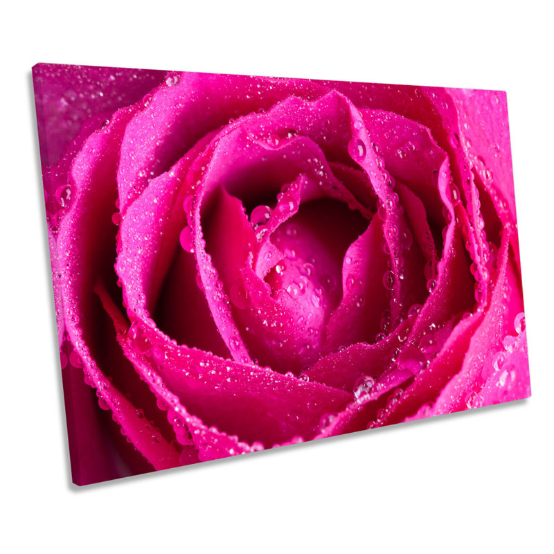 Blossom Rose Flower - Wrapped Canvas Art Prints, 91.4cm H x 137.2cm W x 4cm D