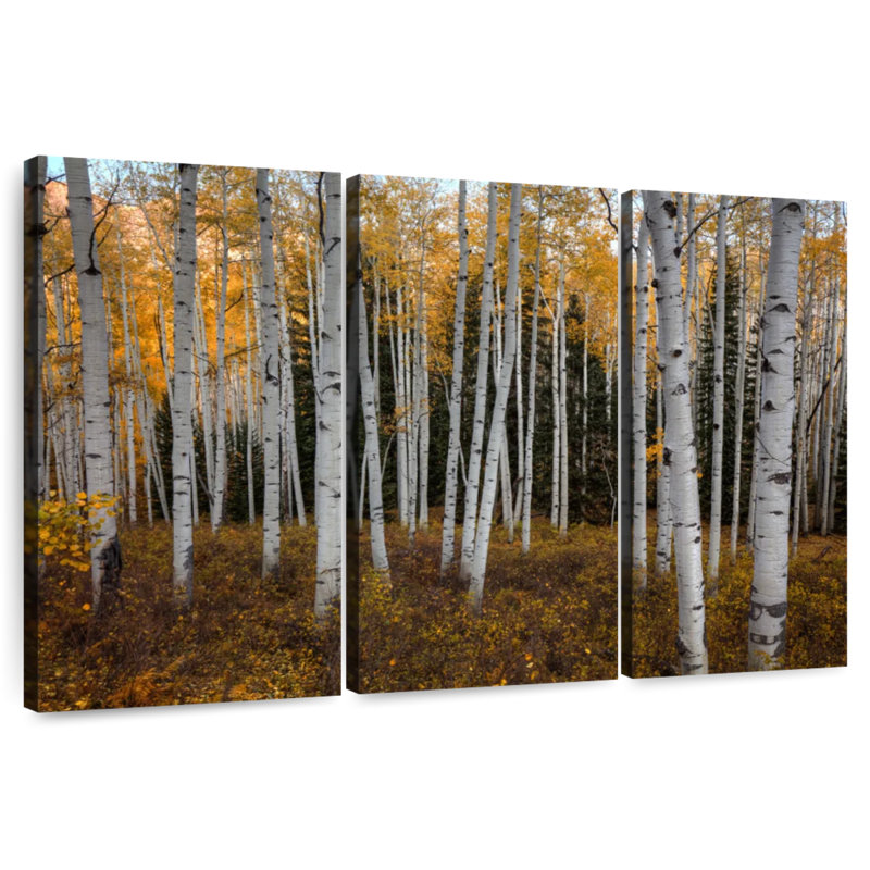Alvord une forêt de trembles en automne, H 24 po x l 38 po