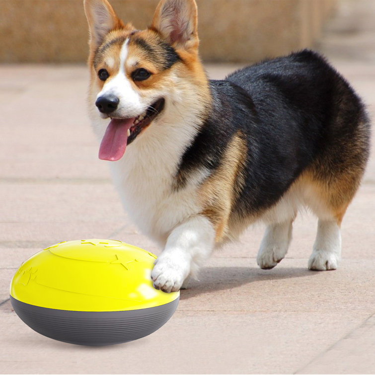 Pet Supplies : HANAMYA Dog Food/Treats Dispensing Container Toy