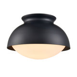 Iftimie Glass Flush Mount
