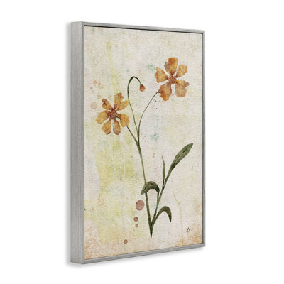  «Ceropsis Flower Sprig», art de la giclée encadrée par Lydia Orange