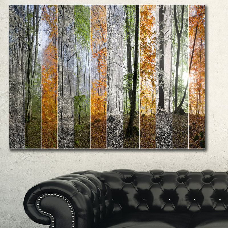 « wood panorama changing seasons », reproduction de photo sur toile tendue, H 30 po x l 40 po x P 1 po