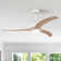 Cesar Ceiling Fan with LED Light, Remote Control & Reversible Motor