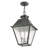 Fraida Bulb Outdoor Hanging Lantern-22670234