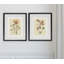 « pressed pansy »-2 pièces, ensemble de 2 reproductions de photos sur papier-28785925