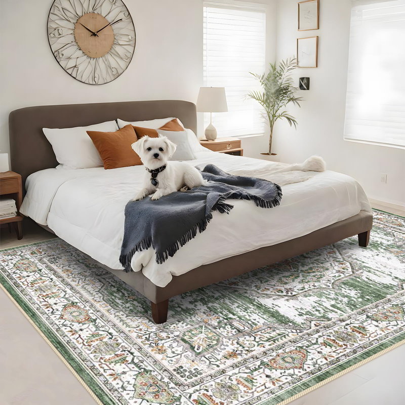 Tapis lavable: tapis pour le salon - tapis intérieur doux à poils courts pour la chambre à coucher - tapis antidérapants