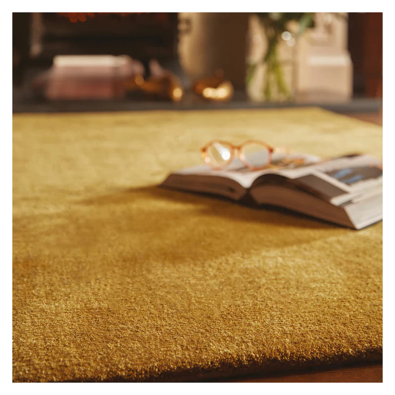 Viscose Hand Woven Area Rug, Rectangle 200 x 300 cm