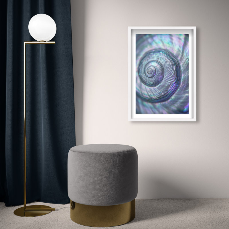 Sea Spiral Print by Oliver Gal, 25.5"H x 17.5"W, White Shadowbox